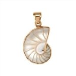 Nautilus shell pendant