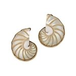 Nautilus Shell Post Earrings